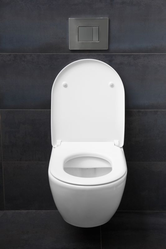 Toilet Seat Installation in Conroe, TX