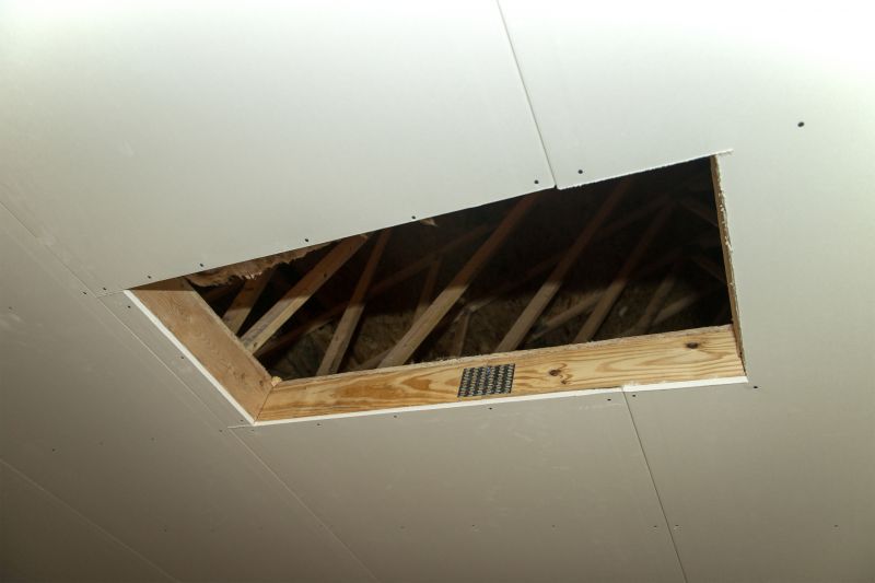 Attic Water Damage Repair in Santa Rosa, CA