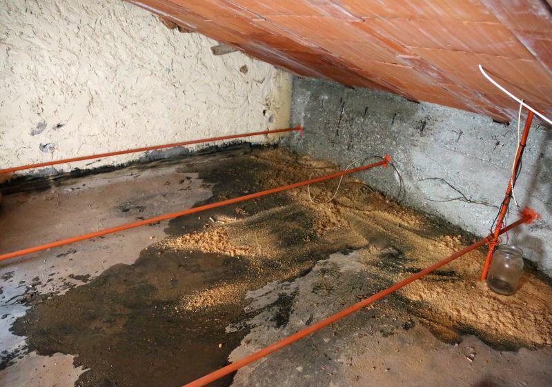 Bathroom Water Damage Repair in Santa Rosa, CA