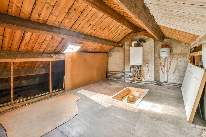 Crawl Space Remediation in Denver, CO