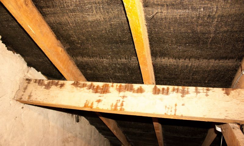 Leaking Ceiling Repair in Katy, TX