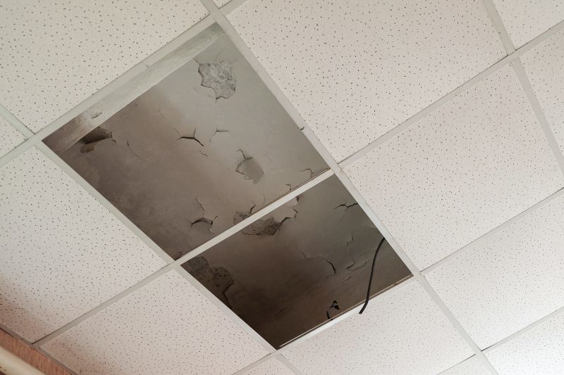 Leaking Ceiling Repair in Denver, CO